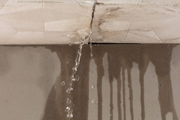 Professional Sewage Cleanup technician working in Oldenburg, IN